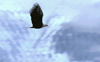 【企业动态】苏交科新增1件法院诉讼案由为委托合同纠纷